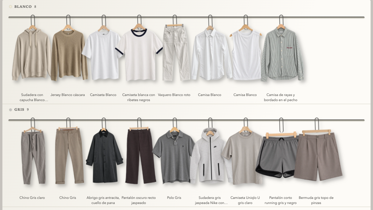 Ropa colgada en baldas ordenadas por color: blancos, grises, negros